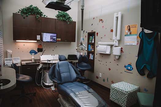 Office Visit: Dr. Meghna Dassani